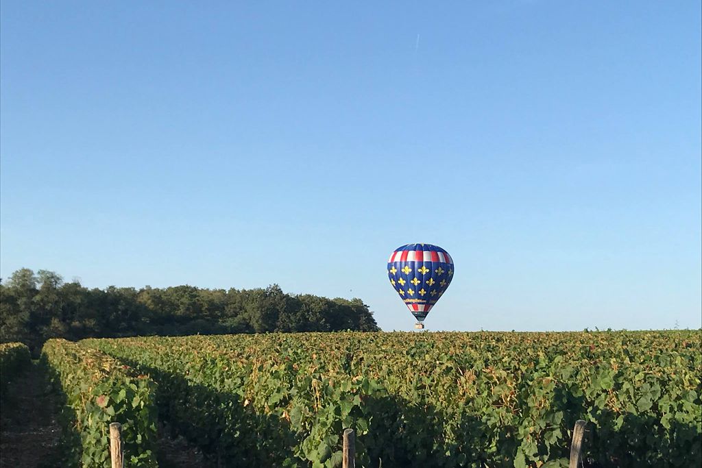 Le Clos de Fontenay 19 - Gallery