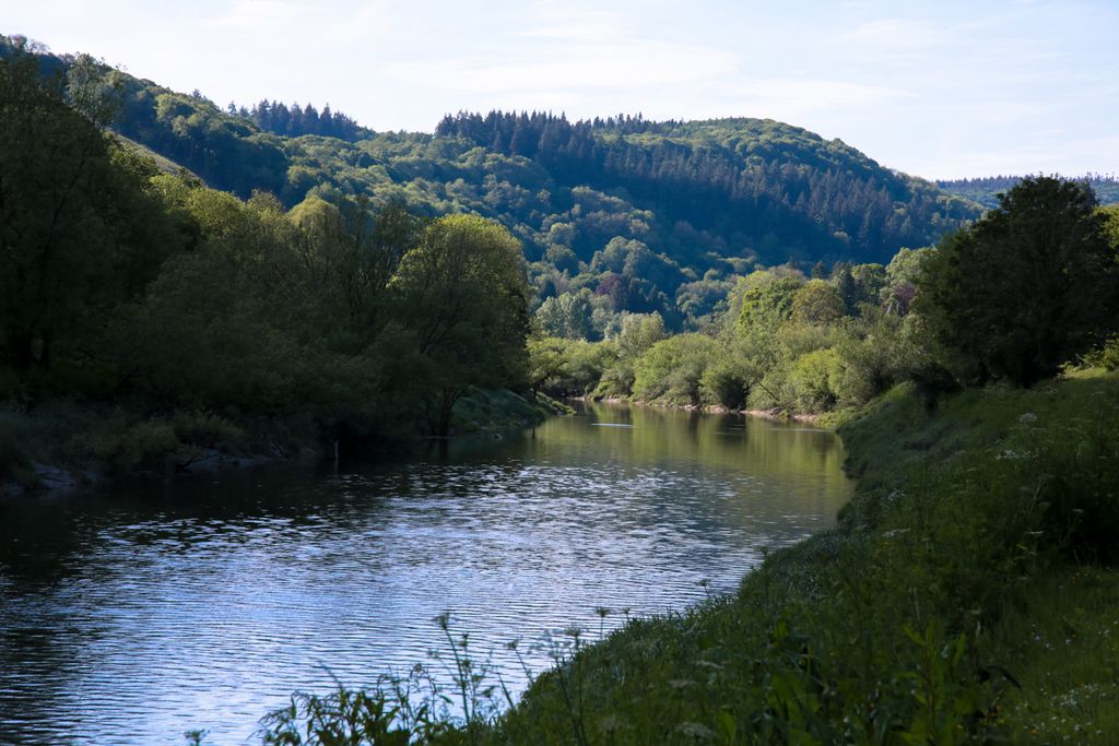 Fairhaven 19 - Gallery