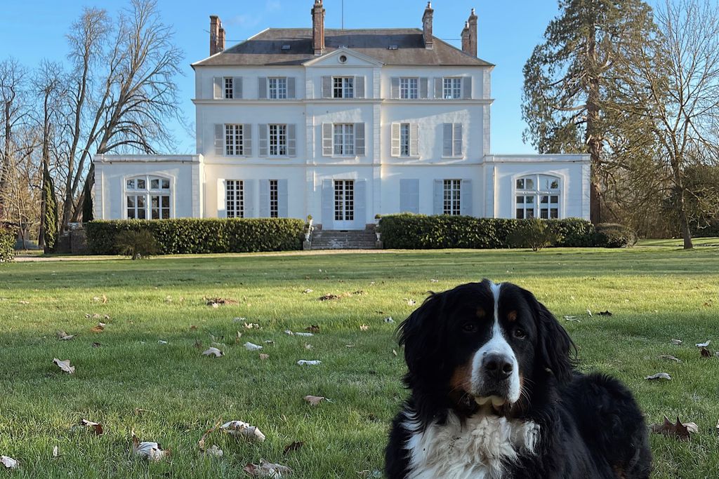 Château du Bois de la Lune 20 - Gallery