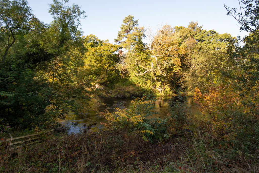 Riverside Cabin 16 - Gallery