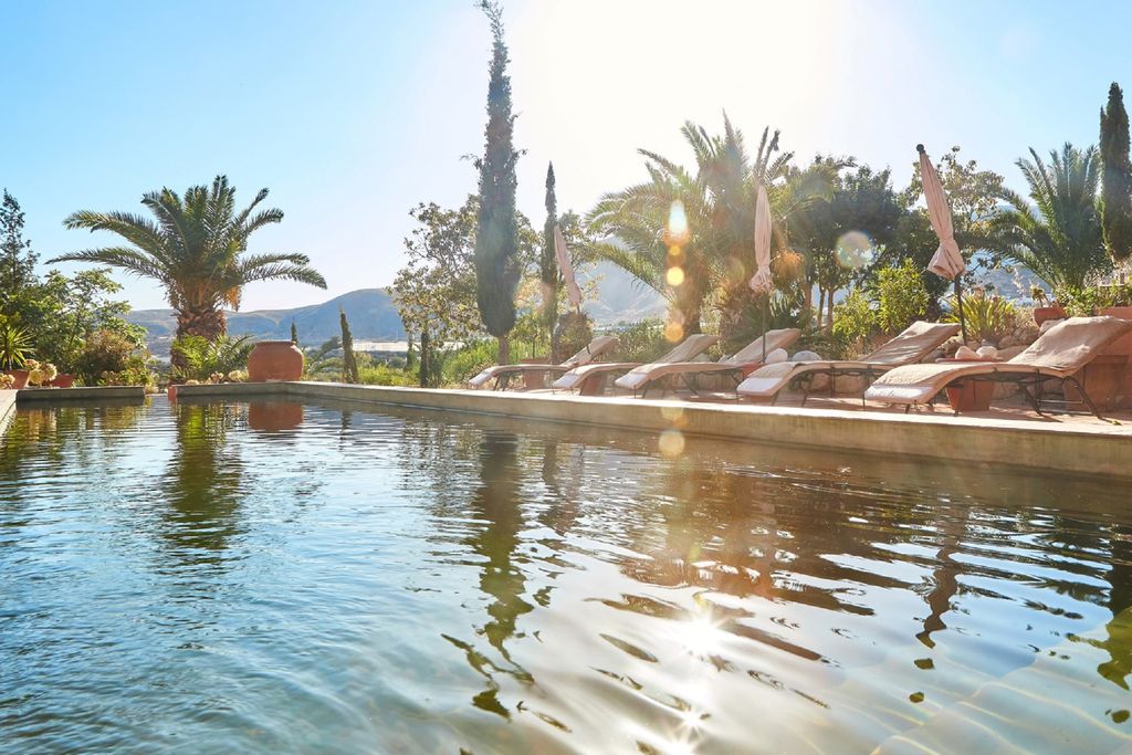 Finca del Alamo 13 - Gallery