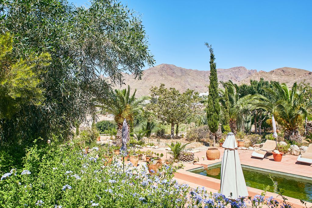 Finca del Alamo 19 - Gallery