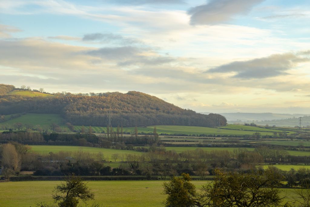 Manor Farm gallery 20 - Gallery