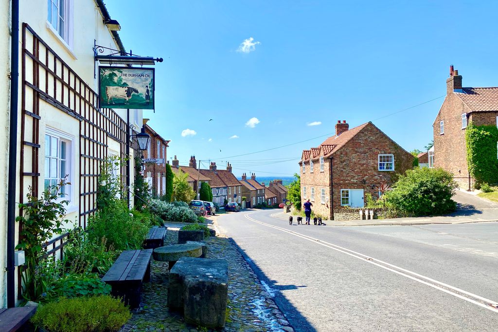 The Durham Ox 20 - Gallery
