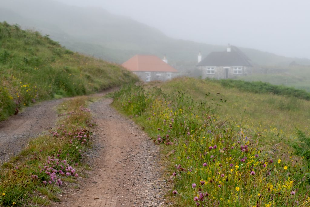 Treshnish Farm 12 - Gallery