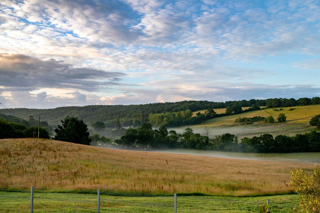 Hank's Annexe - Higher Wiscombe 15 - Gallery