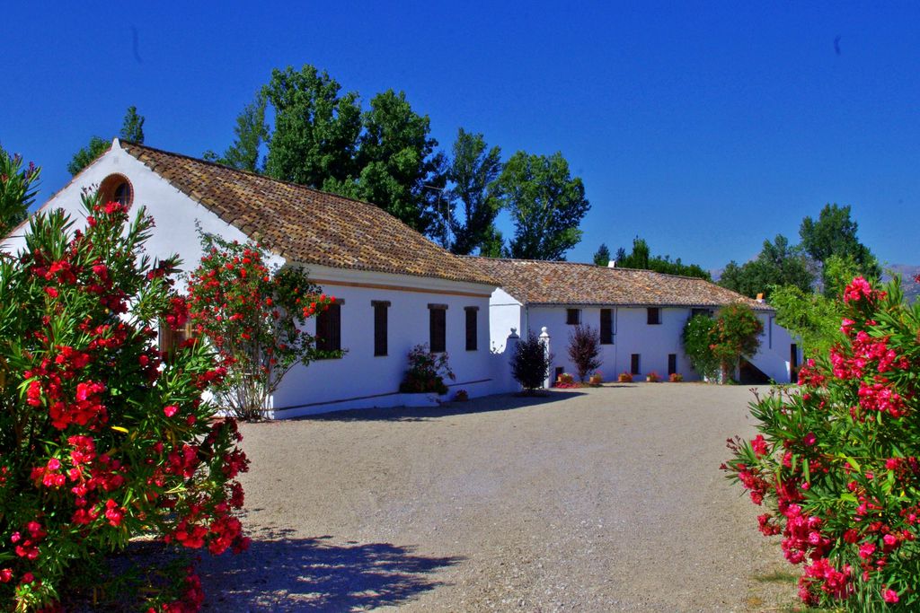 Finca Retama 3 - Gallery