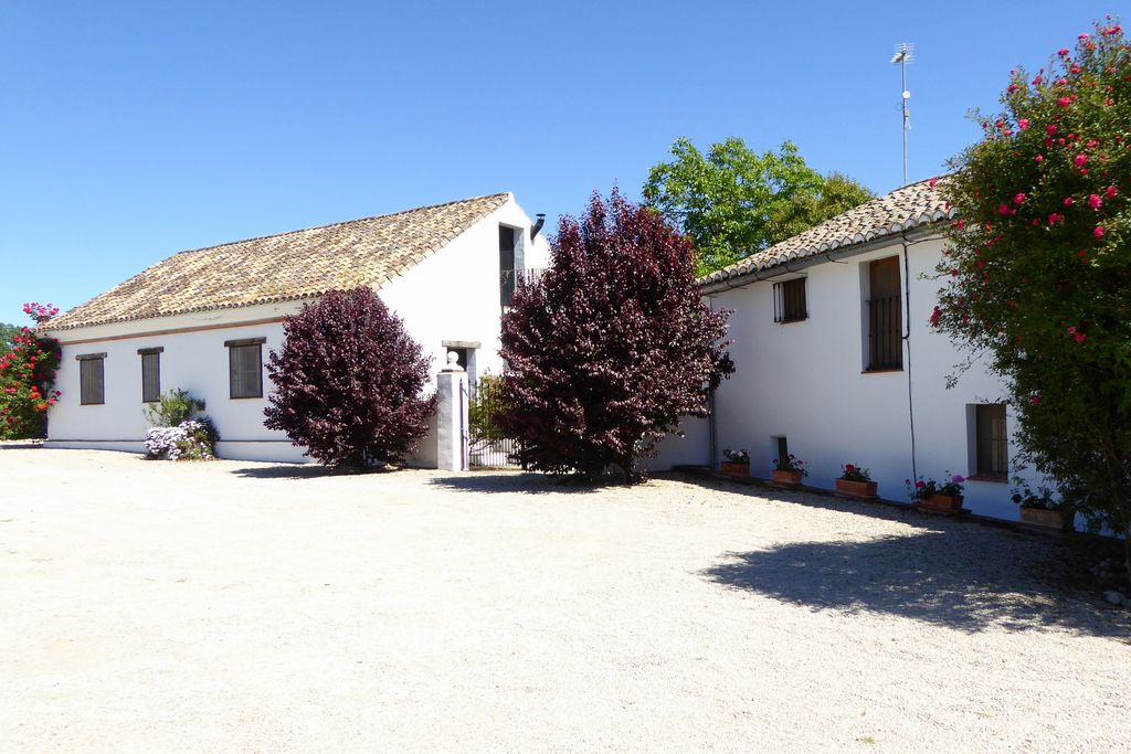 Finca Retama 10 - Gallery