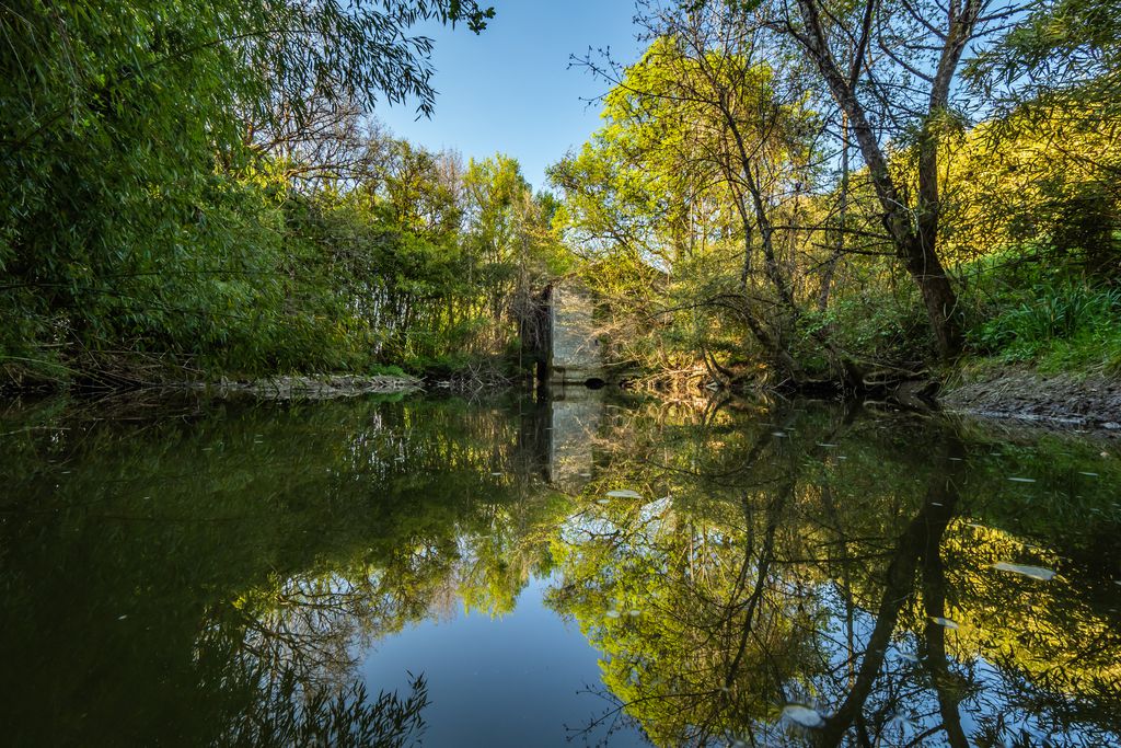 Domaine du Moulin de Labique 19 - Gallery