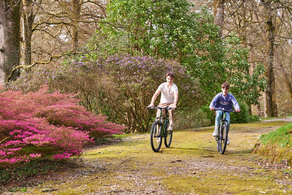 Groom's House at Boconnoc 18 - Gallery