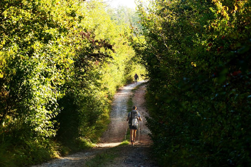 Fattoria Aquilone 20 - Gallery