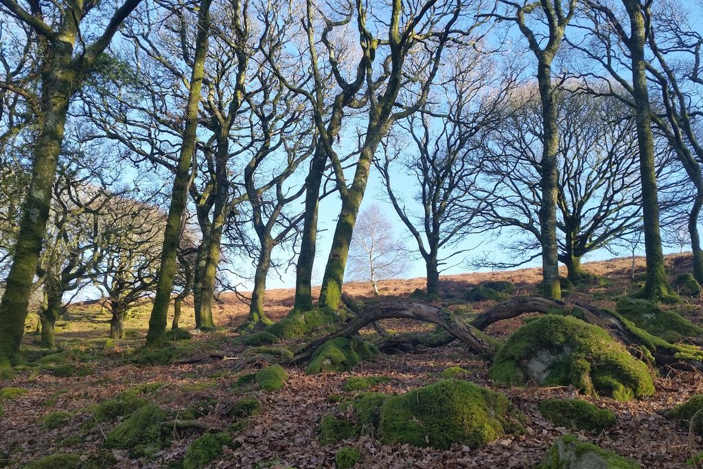 The Piggery by The Orchard, Ham Farm gallery 19 - Gallery