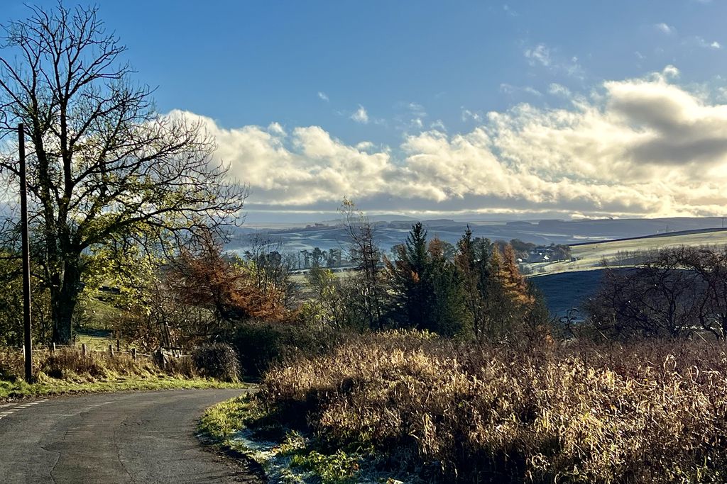 Fiddle Hill Cottage 18 - Gallery