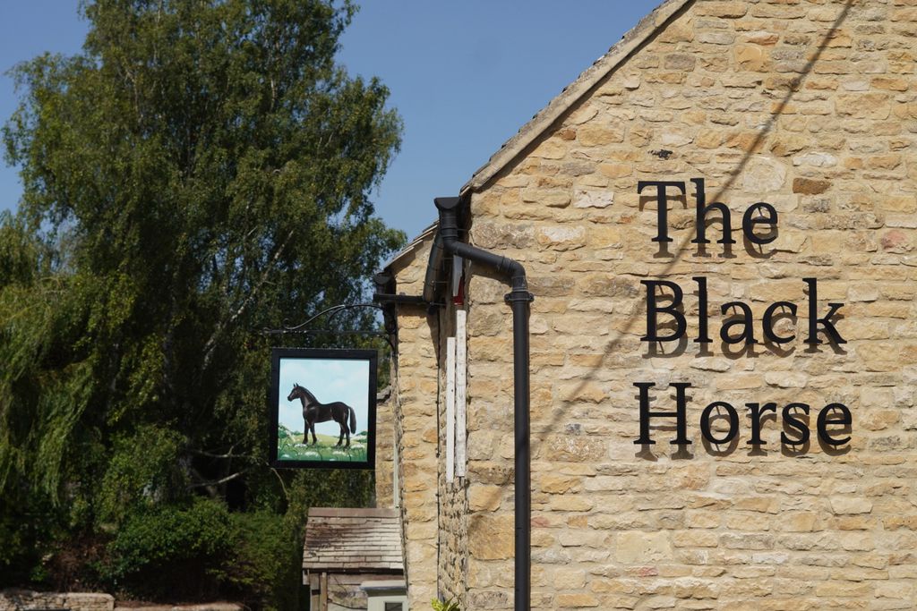 Black Horse 20 - Gallery