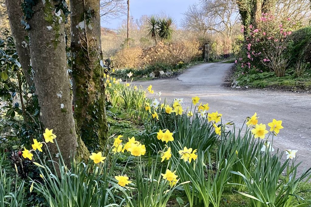 The Old Barn, Lower Tresithick Farm 14 - Gallery