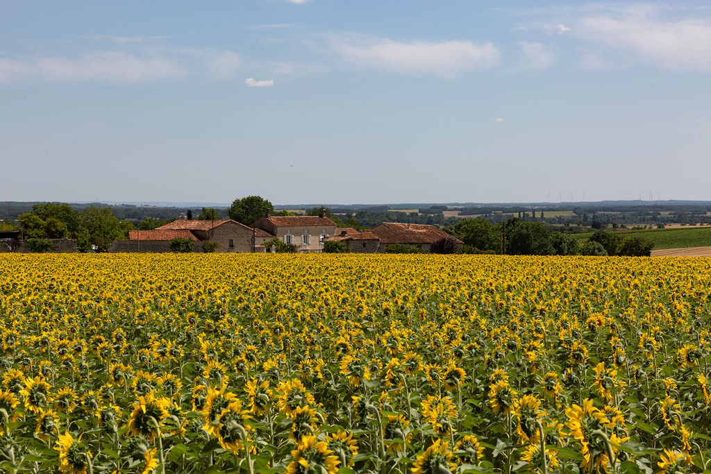 La Cour de Husson Estate 2 - Gallery