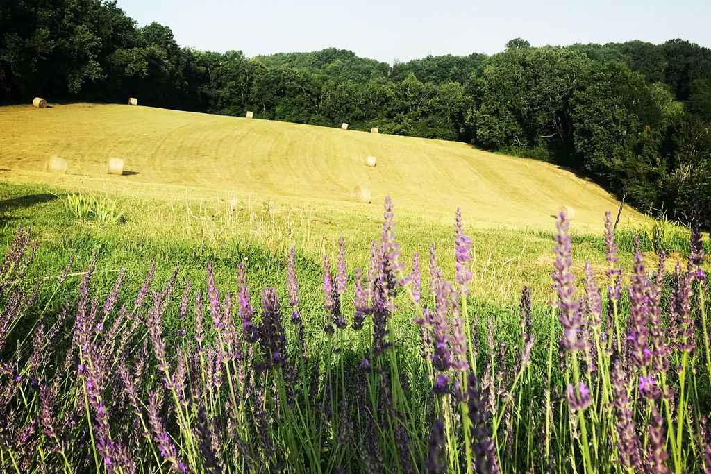 La Ferme de Redouline 6 - Gallery