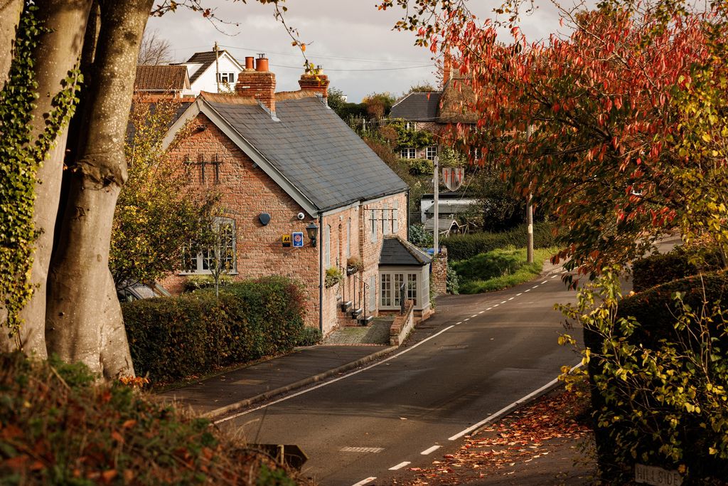 Edington Cottages - Orchard House gallery 20 - Gallery