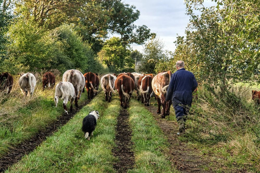 The Piggery at Hunting Hall 13 - Gallery