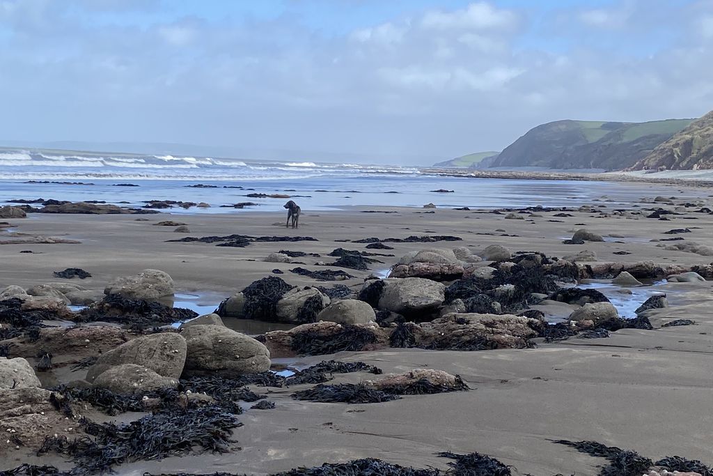 The Old Piggery, Kerswell Farm 18 - Gallery