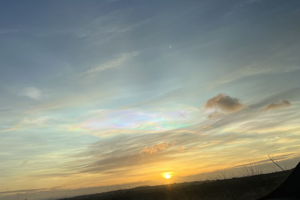 The Maple 20 - Gallery