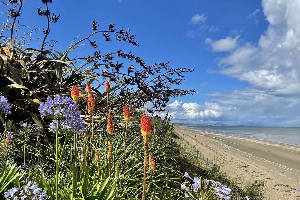 The Cottages 11 - Gallery