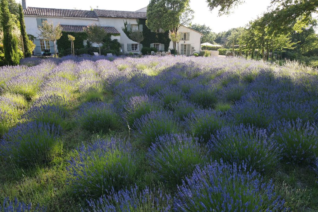 Domaine le Bois des Dames 19 - Gallery