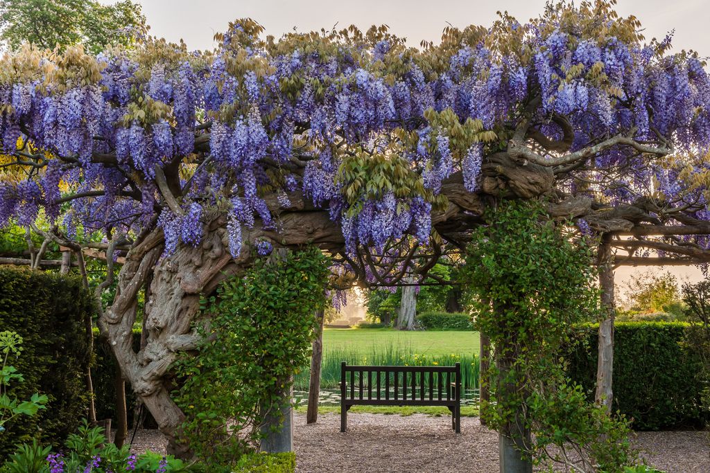 Hever Castle 4 - Gallery