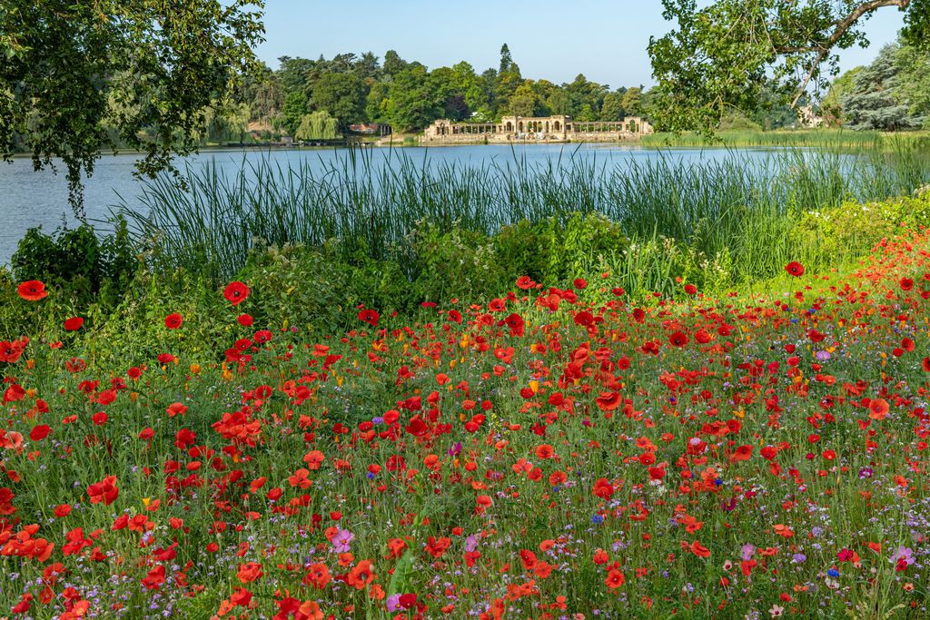 Hever Castle 13 - Gallery