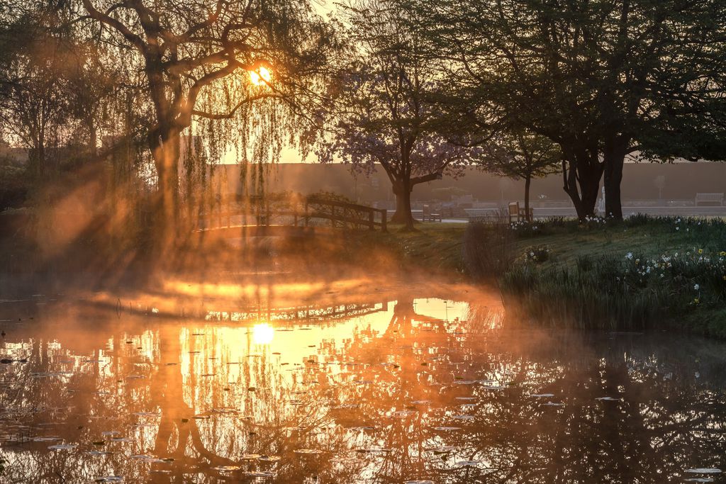 Hever Castle 20 - Gallery