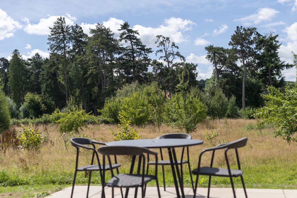 Chestnut at Cynefin Retreats 12 - Gallery
