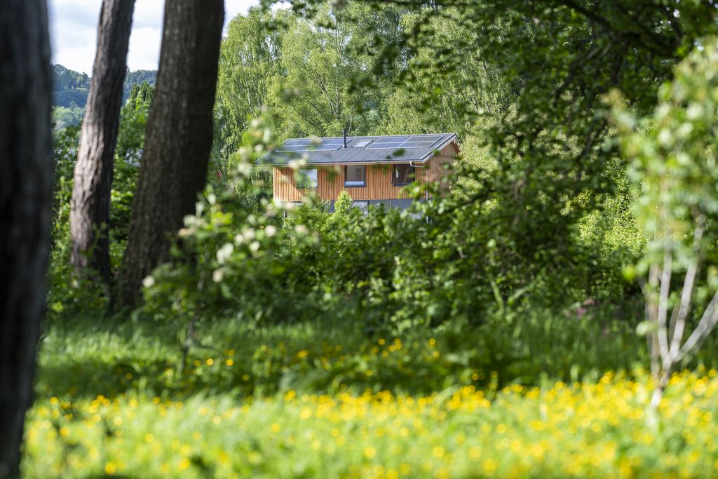 Chestnut at Cynefin Retreats 19 - Gallery