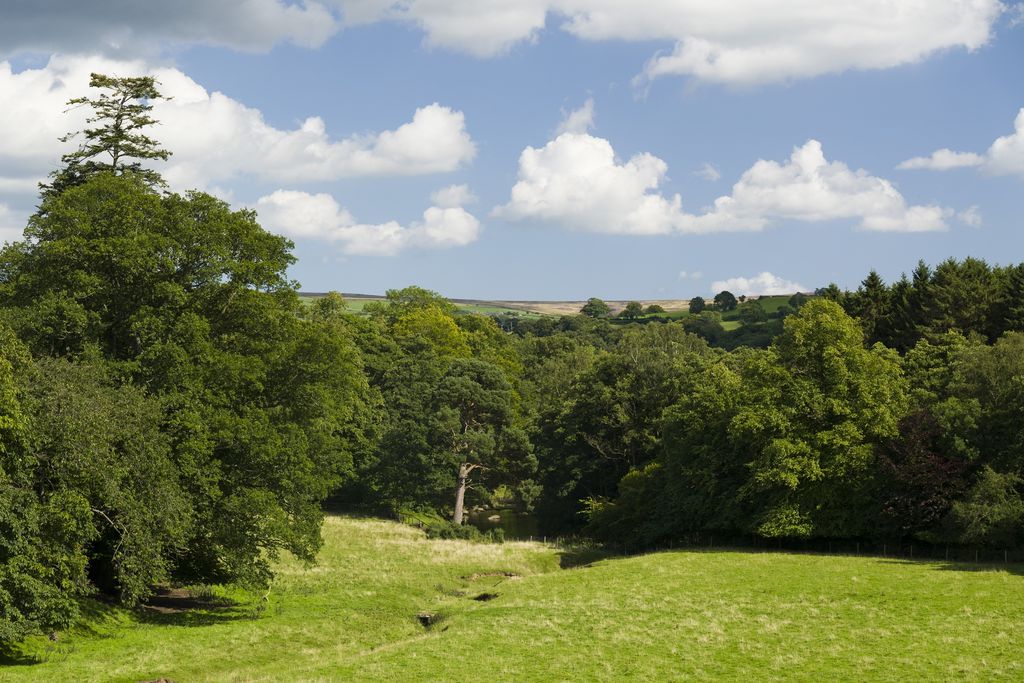 Manor Cottage, Egton Bridge 15 - Gallery