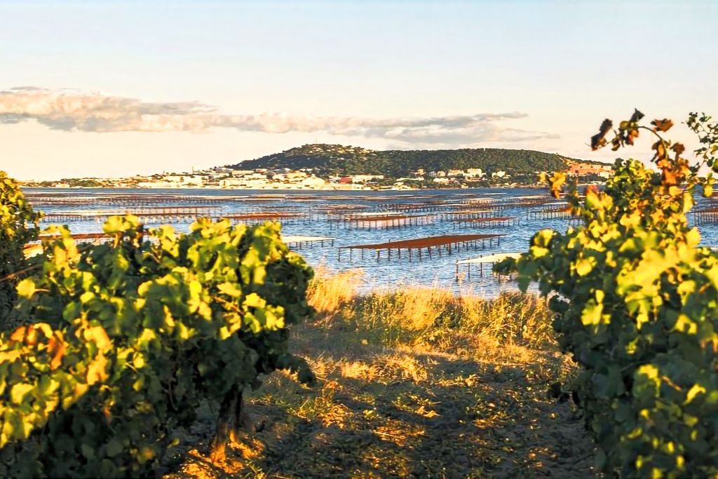 Maison de Thau 18 - Gallery