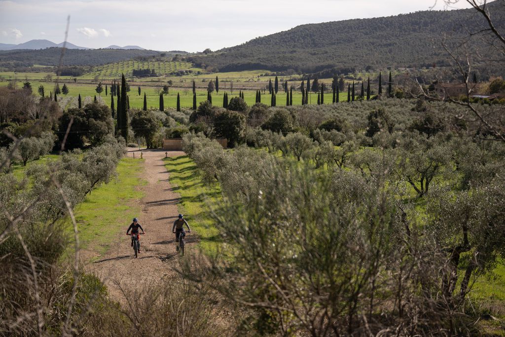 Tenuta Il Cicalino 9 - Gallery