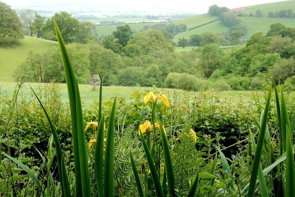 Fursdon Cottage 11 - Gallery