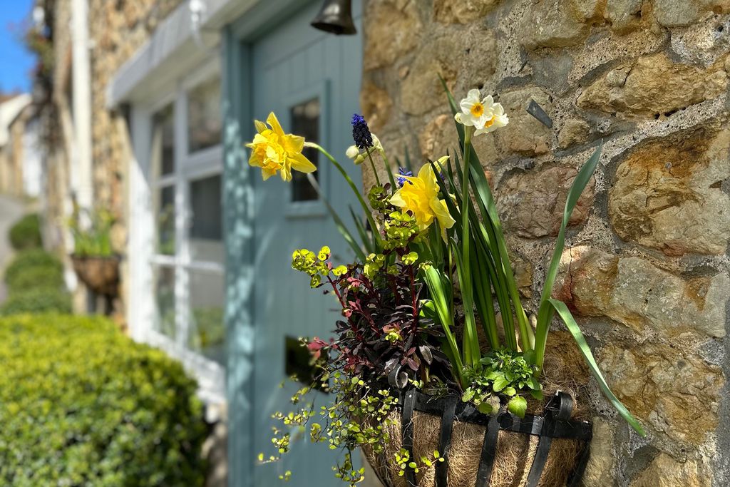 Blackbird Cottage gallery 19 - Gallery
