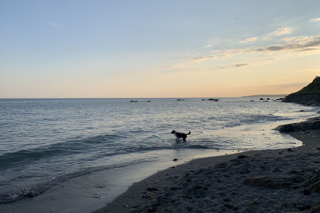 Merchants House gallery 1 - Gallery