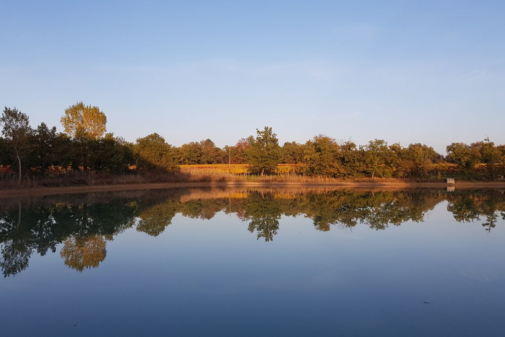 Merchants House gallery 5 - Gallery
