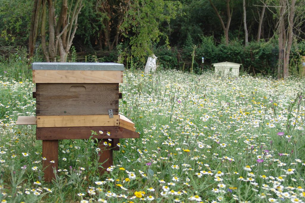 Merchants House gallery 8 - Gallery