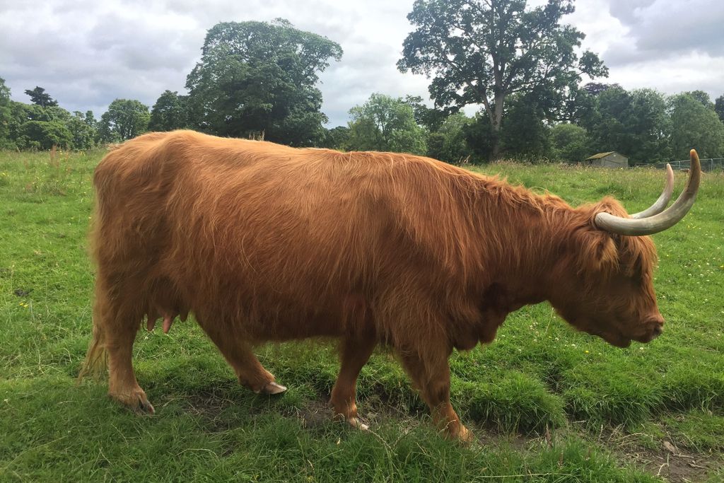 Merchants House gallery 10 - Gallery