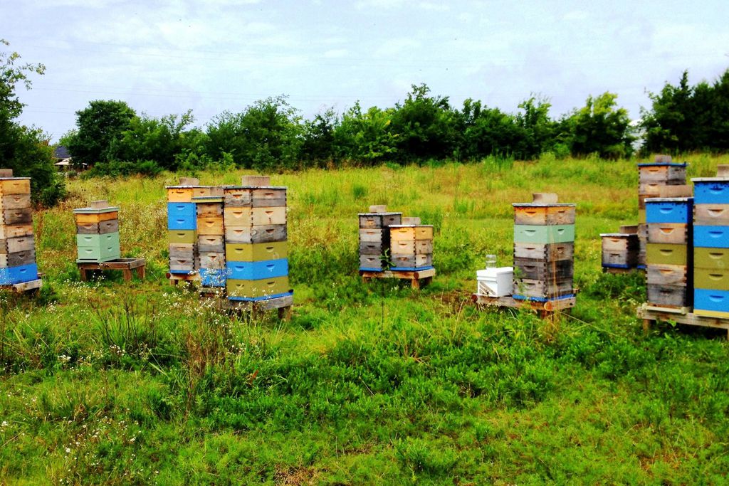 Merchants House gallery 11 - Gallery