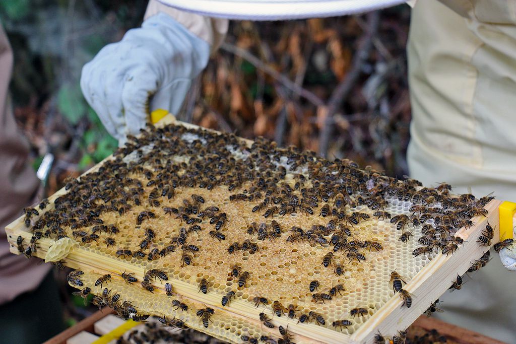 Merchants House gallery 14 - Gallery