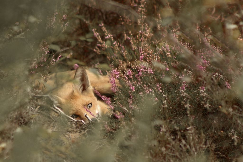 Merchants House gallery 4 - Gallery