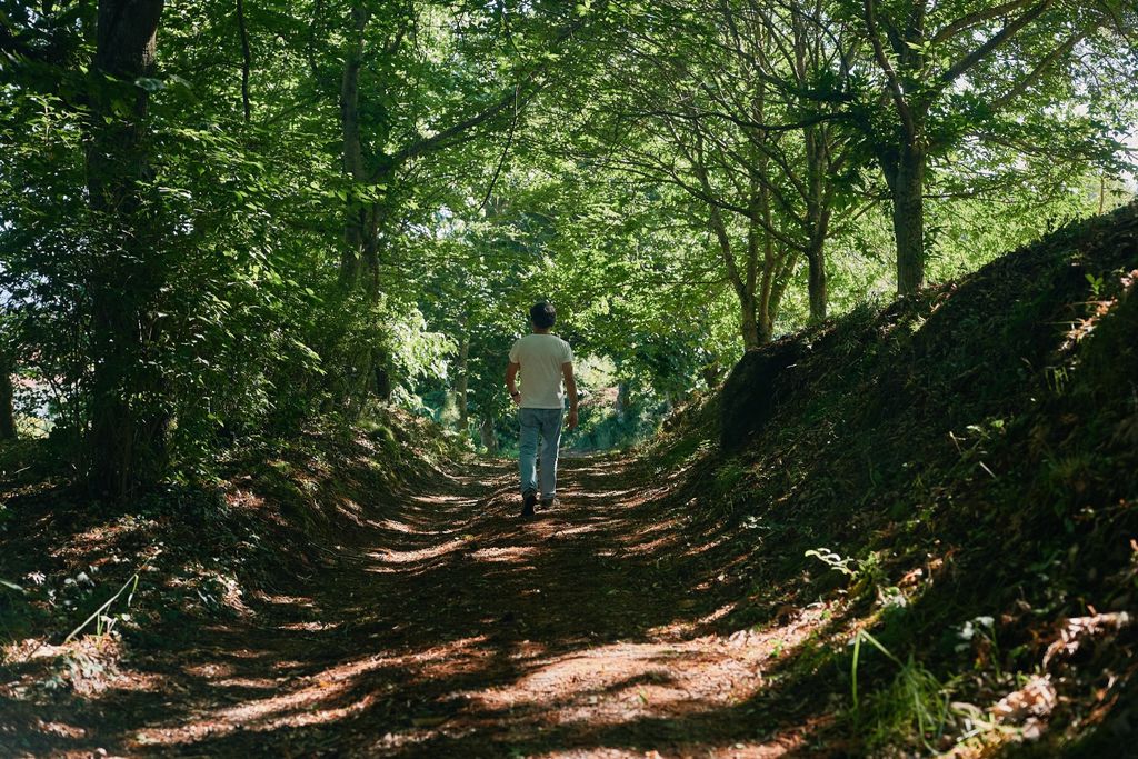 Quinta da Bouça d'Arques 20 - Gallery