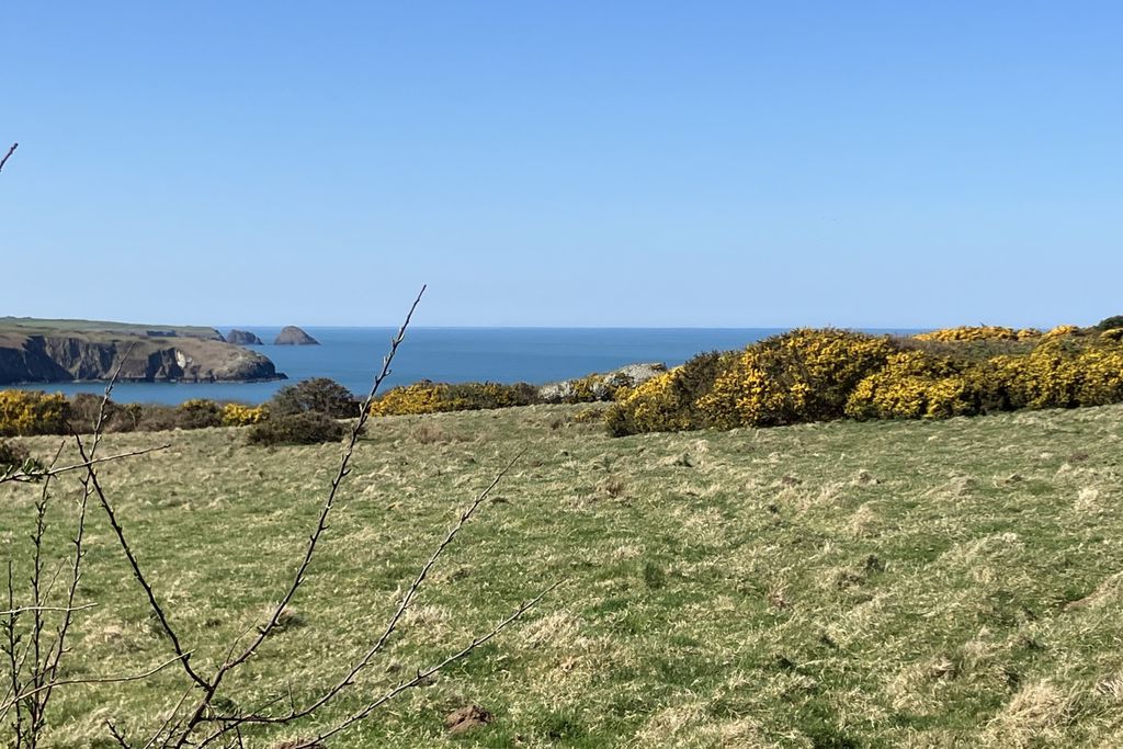 Treseissyllt Hafod 18 - Gallery