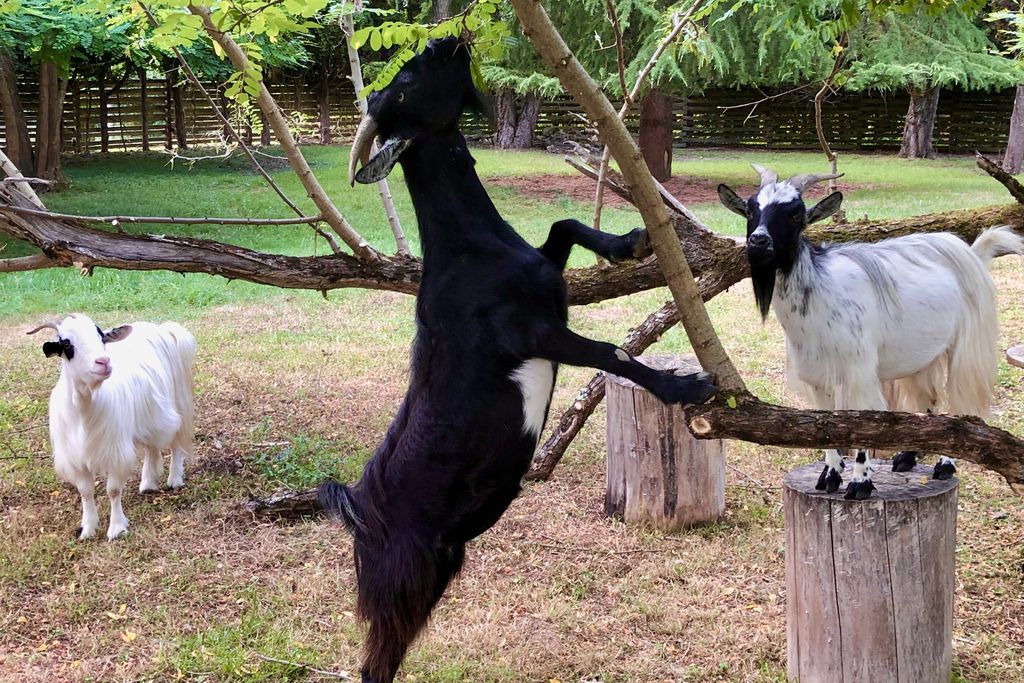 Domaine des Monges Lodge 20 - Gallery