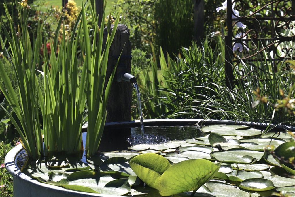 Les Jardins des Soussilanges 13 - Gallery