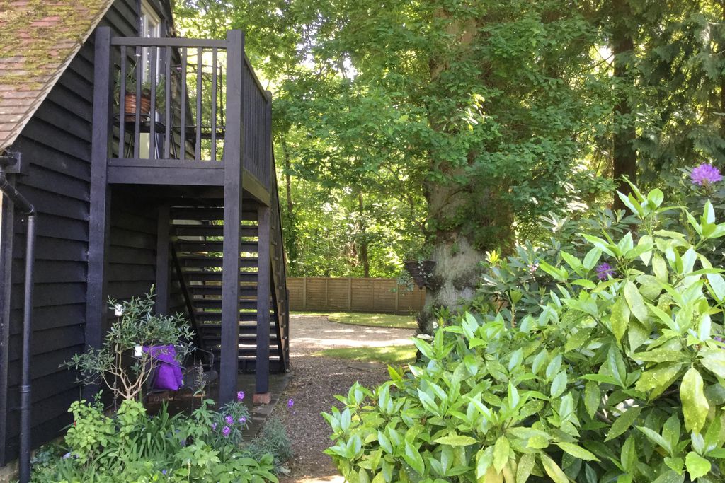 The Treehouse 4 - Gallery