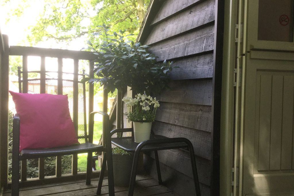 The Treehouse 1 - Gallery